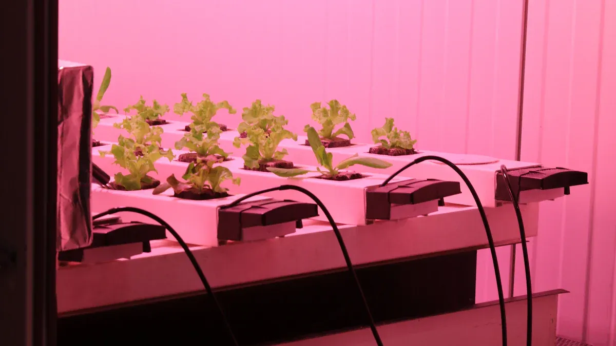 Bisa lampu-lampu jembatan vertikal bisa mbantu tanduran sampeyan luwih apik